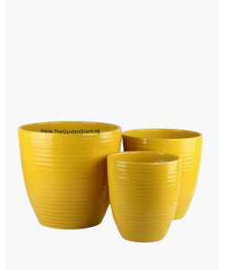 Line Design Yellow Ceramic Pot