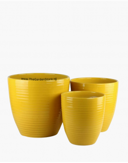 Line Design Yellow Ceramic Pot