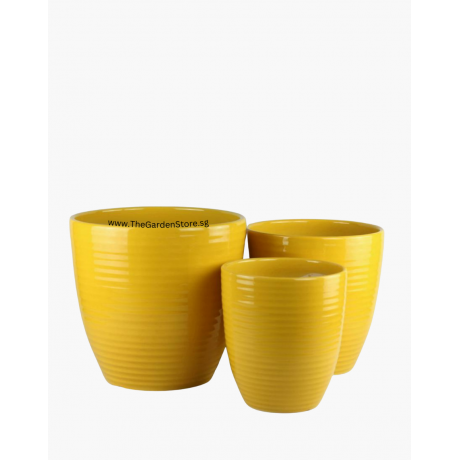 Line Design Yellow Ceramic Pot