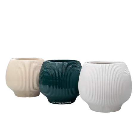 Lisse Ceramic Pot