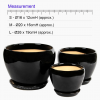 Orchidea Black Bowl Ceramic Pot includes free matching saucer