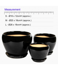 Orchidea Black Bowl Ceramic Pot includes free matching saucer