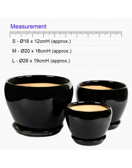 Orchidea Black Bowl Ceramic Pot includes free matching saucer