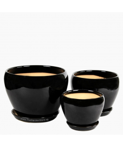 Orchidea Black Bowl Ceramic Pot includes free matching saucer