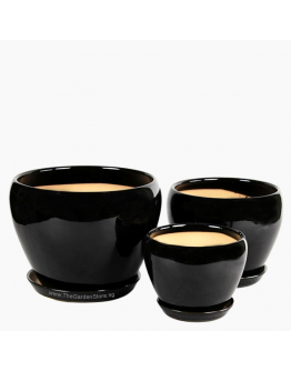 Orchidea Black Bowl Ceramic Pot includes free matching saucer