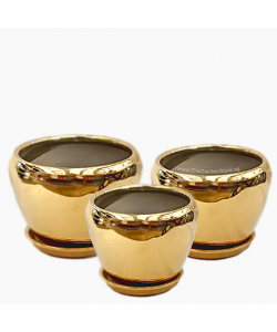 Orchidea Gold Bowl Ceramic Pot includes free matching saucer
