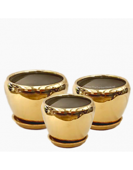 Orchidea Gold Bowl Ceramic Pot includes free matching saucer