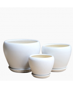 Orchidea White Bowl Ceramic Pot