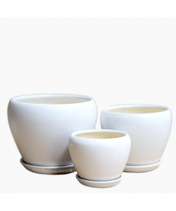 Orchidea White Bowl Ceramic Pot includes free matching saucer