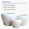 Orchidea White Bowl Ceramic Pot