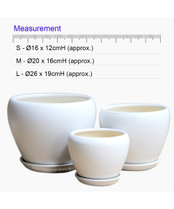 Orchidea White Bowl Ceramic Pot includes free matching saucer