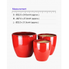 Amore Designer Ceramic Pot with Free Saucer