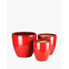 Amore Designer Ceramic Pot with Free Saucer