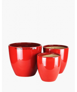 Amore Designer Ceramic Pot with Free Saucer