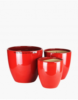 Amore Designer Ceramic Pot with Free Saucer