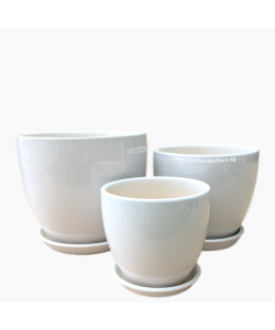 Siena White Cup Ceramic Pot includes free matching saucer