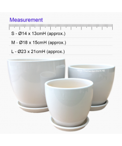 Siena White Cup Ceramic Pot includes free matching saucer