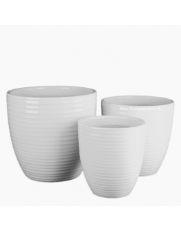 Line Design White Ceramic Pot