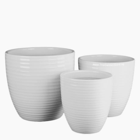 Line Design White Ceramic Pot