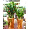 Paititi Gold Tall Ceramic Pot