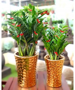 Paititi Gold Tall Ceramic Pot