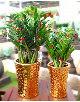 Paititi Gold Tall Ceramic Pot