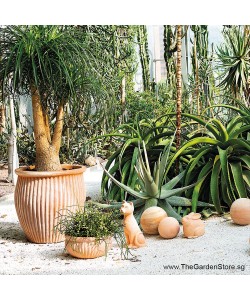 Sphere Terracotta Ball Garden Decoration