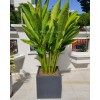 Square Planter by East Living 