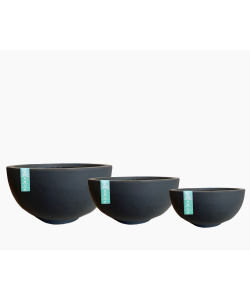 Shallow Bowl by East Living 