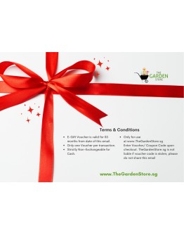 Gift Vouchers