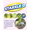 Starxle G Insecticide Granules (Dinotefuran 1%) | Systemic Pest Control for Aphids, Mealybugs, Fungus Gnats & Scale 200gm