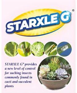 Starxle G Insecticide Granules (Dinotefuran 1%) | Systemic Pest Control for Aphids, Mealybugs, Fungus Gnats & Scale 200gm