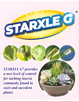 Starxle G Insecticide Granules (Dinotefuran 1%) | Systemic Pest Control for Aphids, Mealybugs, Fungus Gnats & Scale 200gm