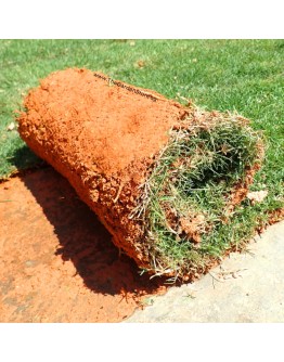 Real Carpet Grass 5ft X 1ft per roll