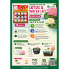 Lotus & Water Lily Fertilizer Tablets (NPK 9-23-20) - 14 Tablets | Aquatic Plant Fertilizer