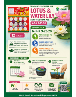 Lotus & Water Lily Fertilizer Tablets (NPK 9-23-20) - 14 Tablets | Aquatic Plant Fertilizer