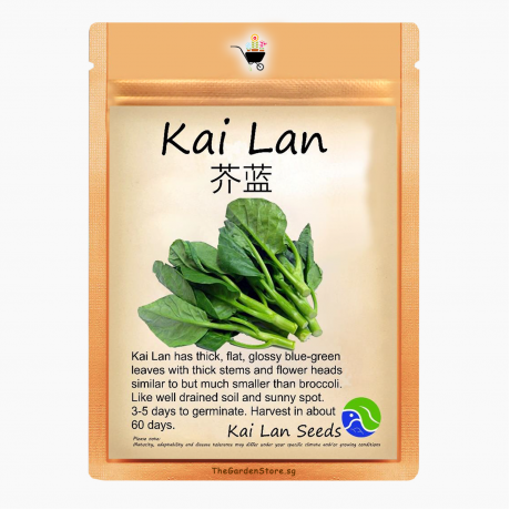 Kai Lan Seeds by BlueAcres