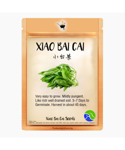 Xiao Bai Cai Seeds by BlueAcres