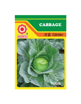 Cabbage 甘蓝菜 Seeds By HORTI