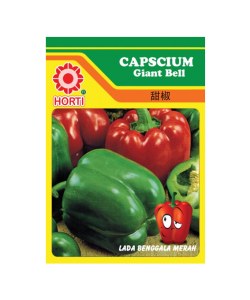 Capscium Giant Bell 灯笼椒 Seeds By HORTI
