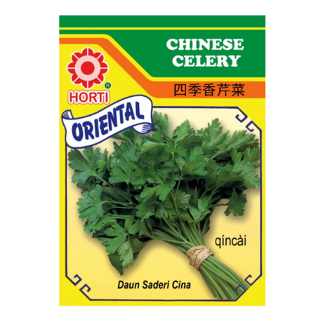 Chinese Celery 四季香芹 Seeds By HORTI