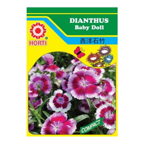 Dianthus Baby Doll Seeds 西洋石竹 By HORTI