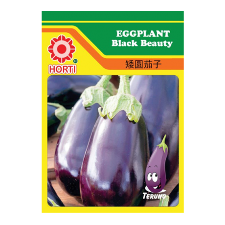 Eggplant Black Beauty Seeds by HORTI 