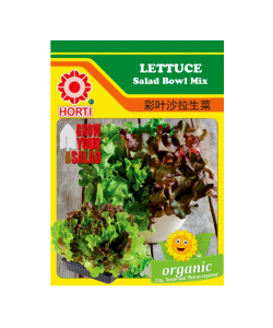 Lettuce Salad Mix 彩叶沙拉生菜 Seeds by HORTI 