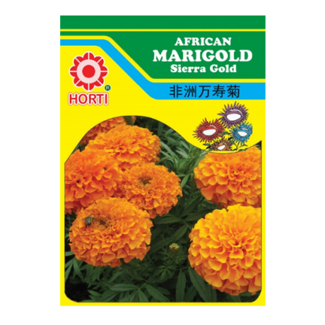 Marigold 万寿菊 Seeds By HORTI