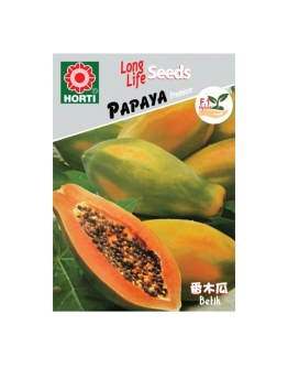 Papaya Seeds By HORTI