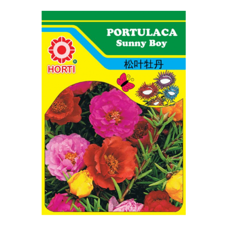 Portulaca Sunny Boy Seeds By HORTI