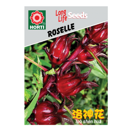 Roselle Seeds By HORTI