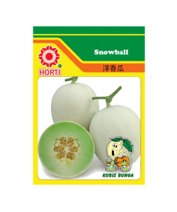 Honey Dew Snow Ball 洋香瓜 By HORTI