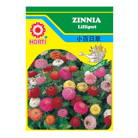 Zinnia Lilliput Seeds by HORTI